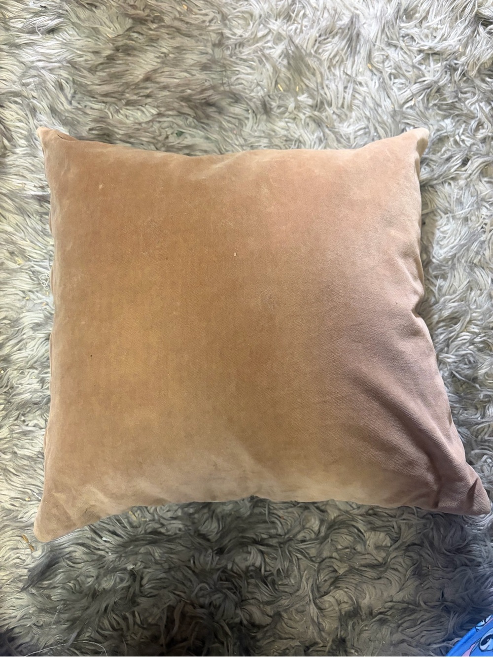 Plush Velvet Decorative Pillow - Cream